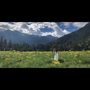 Meet your Posher, Backy